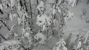 VIDEO: The Oregon Department of Transportation shared this awesome drone footage from yesterday as crews worked to clear Highway 138 west of Diamond Lake. Today some of the High Cascades highways are beginning to open up again, including Highway 62 above Prospect: https://bit.ly/3ampwZO | KDRV NewsWatch 12