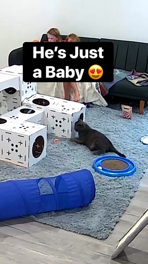 He’s Just a Baby 😍 | Baby and Blue