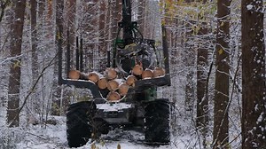 Logging machine, a forwarder, drives down the road, loaded with trees.