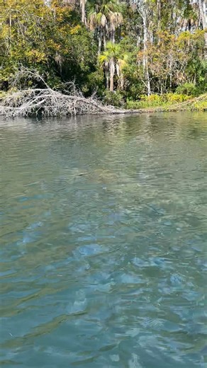 Wave of Wellness on Reels