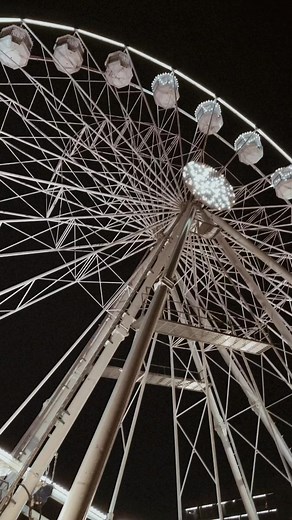 🎄✨ | Mongolian In The City