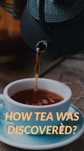How TEA Was Discovered By Accident ☕😳