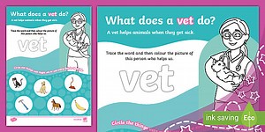 What Does a Vet Do? Activity Sheet