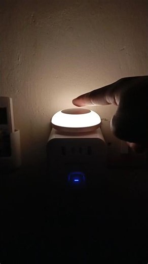 Aesthetic Decorative Night Lights, Make Your Room Cozy in an Instant 🌙
