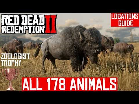 ALL 178 Animals Locations Guide | Red Dead Redemption 2 | Zoologist Trophy
