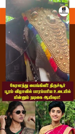 Kerala Culture ❤️ Ayesha Looks Gorgeous at Thrissur Pooram | Viral Festival Moments 😍