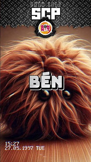 SCP 337 là gì? | Bốn nút SCP #bonnut #suthatthuvi #scp