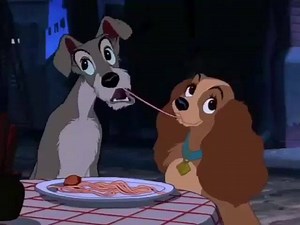 3.4K views · 365 reactions | Single life be like......  ————  https://corgilover.guru  lokistagram | Corgi Lovers | Facebook