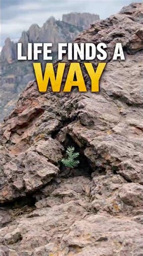 HOW IS THIS POSSIBLE?!🤔