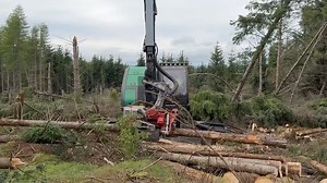 Coming up in our September issue will be the report on this Neuson Forest 264HVT harvester with a Logmax 6000V harvesting head | Forestmachinemagazine