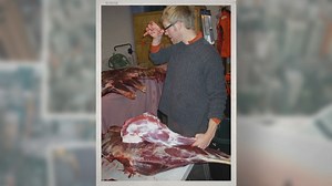 Elk vs. Deer: Exploring the Majestic Differences and Adaptations