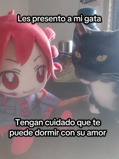Teto disfrutando el día con la gatita 🐱 #teteteteto #teto #michi
