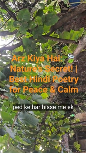 ​Arz Kiya Hai: 🍃 Nature's Secret! | Best Hindi Poetry for Peace & Calm