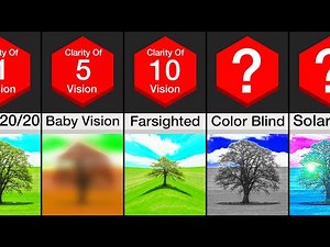 Comparison: Human Vision