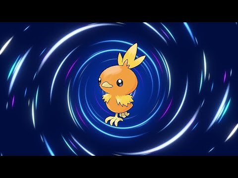 Torchic Evolution Line!