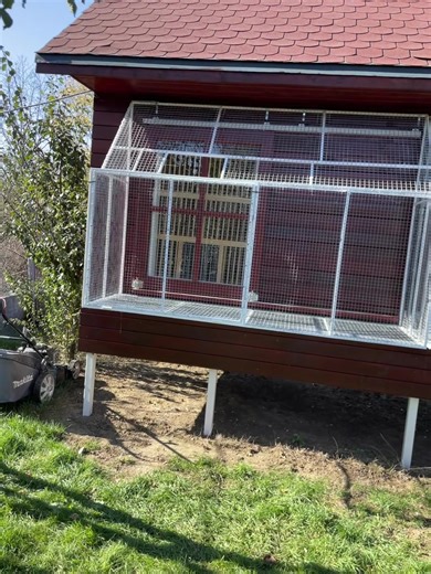 Videoclipuri postate de George Sirbu (@george.sirbu8) cu Bad Joke - Parazitii