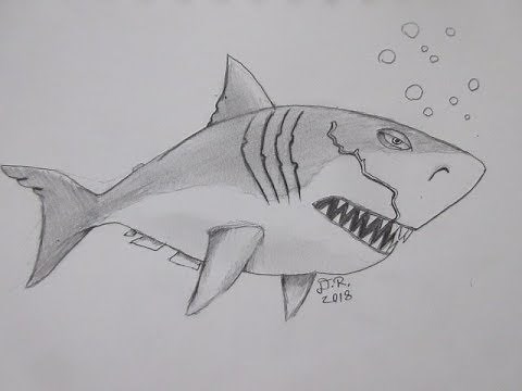 How to Draw Megalodon || Hungry Shark Evolution - Danny the Dinosaur Drawer