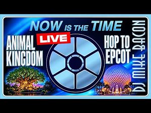 🔴 LIVE Walt Disney World Orlando - Disney’s Animal Kingdom