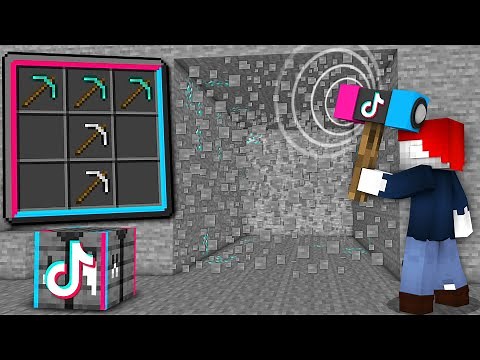 TIKTOK WERKZEUGE in Minecraft