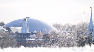 49K views · 1.6K reactions | Campus is looking like a winter wonderland after yesterday's snow ✨ | UConn | Facebook
