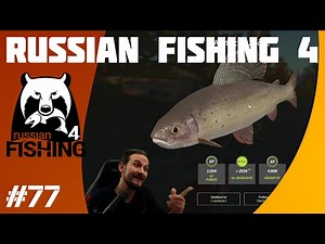 Russian Fishing 4 #77 Hack! Silber satt