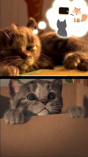 HAPPY LITTLE KITTEN ADVENTURE CUTE CATS AND FUNNY LEARNING CARTOON VIDEO FOR KIDS AND BABY #cat