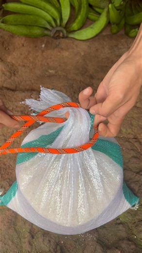 This is Genius Knot!!