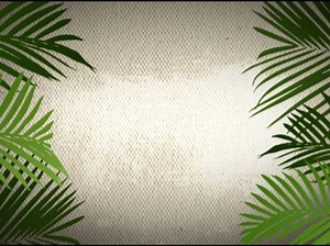 Palm Sunday Background Loop 1 | 4ThoughtMedia