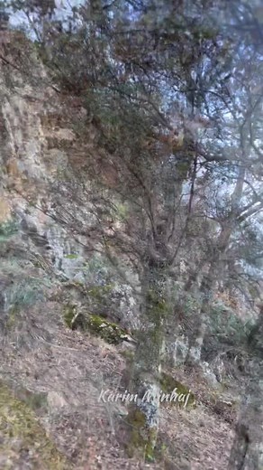 #imazighen♓♓❤️❤️ #برلين_ألمانيا🇩🇪 #المغرب🇲🇦تونس🇹🇳الجزائر🇩🇿 #سويد🇸🇪 #أولماس #oulmesأولماس #إموزار #الخميسات #خنيفرة_ازرو_ميدلت_بني_ملال_الحاجب #شلوح_الاطلس_امازيغ_الخميسات_خنيفرة #مريرت_خنيفرة_عيون_ام_الربيع_افران_فاس #إمازيغن #مريرت #خنيفرة #أزرو #متابع #فرانسا_ايطاليا_بيلجكا_المغرب🇨🇵🇮🇹🇲🇦🇩🇪 #إفران @Fidjè🦋 @Nour ♥️🇲🇦🇨🇵hasna تمازيغت @Omar @ismail_ezziani @m o u r a d @༺EĻｍ𝐀r𝐀ⓞùᎥ ༻ @K A R I M 👑