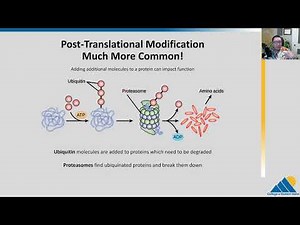 BIOL201 Ch16.6 | Eukaryotic Translational and Post-Translational Gene Regulation