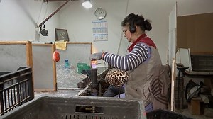 38K views · 815 reactions | Afacerea de succes pornită de o familie de români acum 28 de ani aduce magia Crăciunului în Europa şi SUA | Observator | Facebook