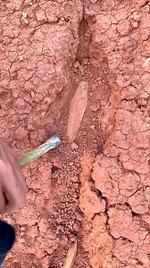1.5M views · 9.2K reactions | finding ancient treasure middle buried #history #treasurediscoveries #treasuresearch #fbreels #reelsviralfb #reelsfypシ #reelschallenge #treasurehunter #archeology #metaldetector #histor #goldjewelry | Discovering Treasure | Facebook