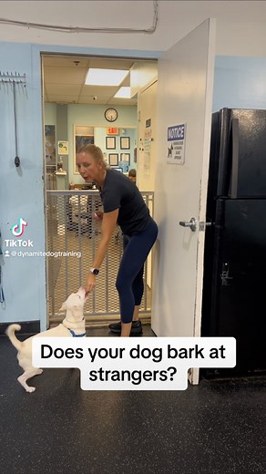 203 reactions · 4 comments | Lucky Dog Training Club on Reels | Facebook