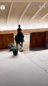 How lucky We are. Use #bstensgaarddk in Your Daily rutine. 鱗 WANT...