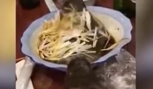 Diners gasp as cooked fish 'comes to life' at restaurant