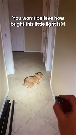 This Keychain Flashlight Should NOT Be This Bright 😳🔦