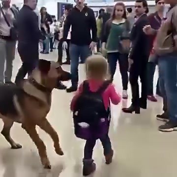 Security Dog Started Barking at a Child’s Backpack—What Was Inside Made the Whole Airport Go Silent Watch: see more... 👇👇 | Elie Wish