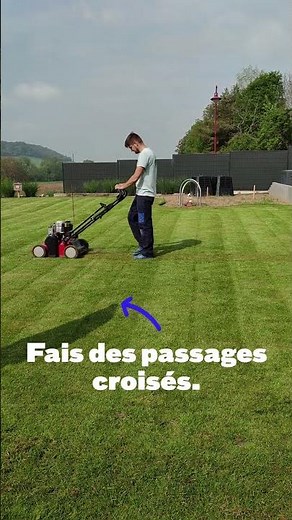 Comment rénover sa pelouse ? L’étape de la scarification.