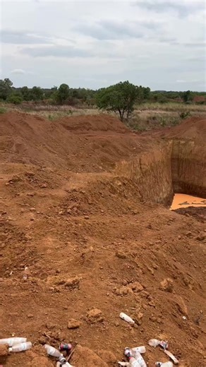 Rumput emas bukan sekadar rumput 🌱 Kalau tahu cara pakainya, hasil bisa beda jauh 👀💰 #tambang #alatTambang #tambangemas #emas #penambangan