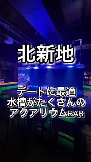 TikTokでログ太郎さんをチェック！