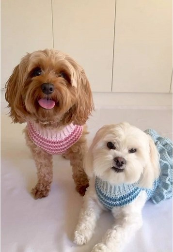 Lottie and Lulu Crochet on TikTok