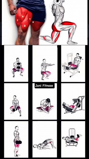 Leg Workouts for ALL Levels: Beginner to Advanced Training!
