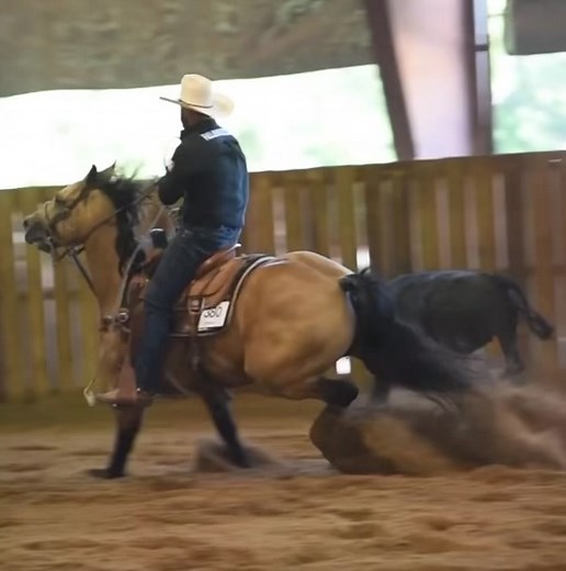 Rodeo Horsepower: Miles Baker and Trevor Brazile's Dagger Roping Adventure