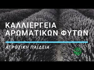 Καλλιέργεια αρωματικών και φαρμακευτικών φυτών - ( Μέρος Α ) - Αγροτική παιδεία - S1E4