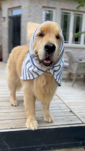 102K views · 10K reactions | It's this weeks edition of the Sterls and Colly show.See the fun things they've been up to. | Sterling Newton | Facebook