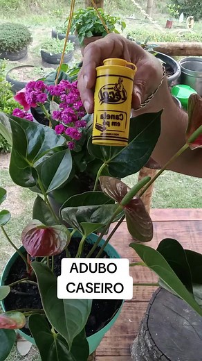 Como Fazer Adubo Caseiro Passo a Passo