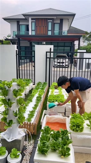 Huerta Hidropónica DIY | Visita mi perfil y descarga el manual paso a paso de hidroponia #hidroponia #hidroponik #cultivo #huerto | Instagram