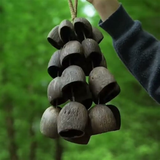 Relaxing Nature Sounds: Handmade Seed Pod Wind Chimes & ASMR 🌿✨ #asmr #mushroom #handmadeinstrument
