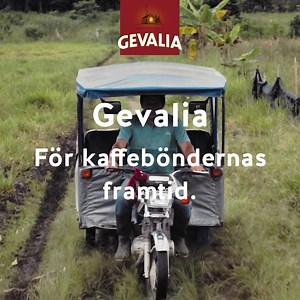 75K views · 74 reactions | Vi samarbetar med tusentals kaffebönder i syfte att förbättra deras levnadsförhållanden, och i förlängningen bygga en bättre framtid ☕️‍ | Gevalia | Facebook
