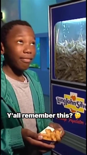 Do you remember the Long John Silvers Shrimp Fryolator